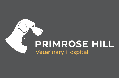 Pure Breed vs Mixed Breed Considerations