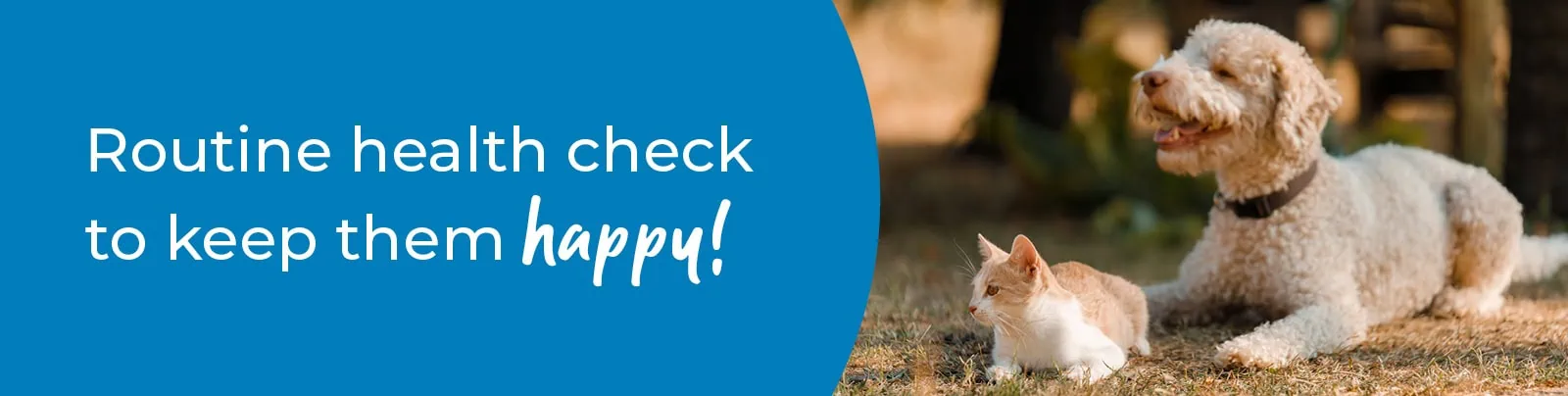 Pet Health Check in Sallynoggin | Preventative Vet Care