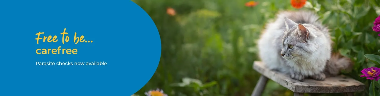 Parasite Prevention & Protection