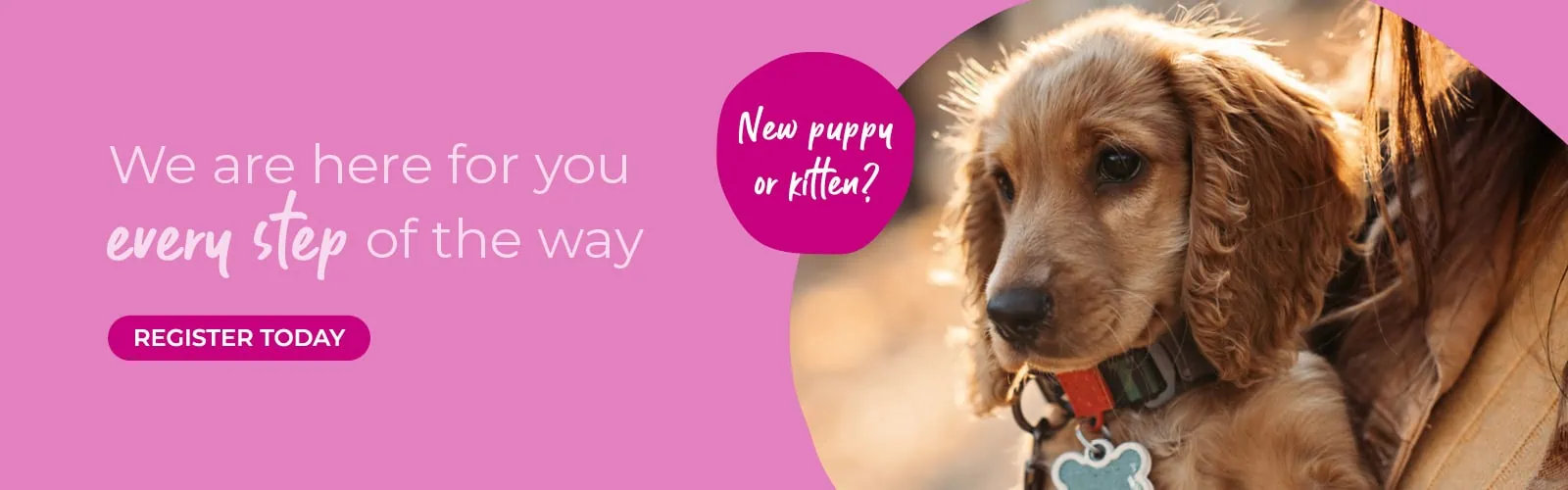 Primrose Hill Veterinary Hospital in Sallynoggin, County Dublin