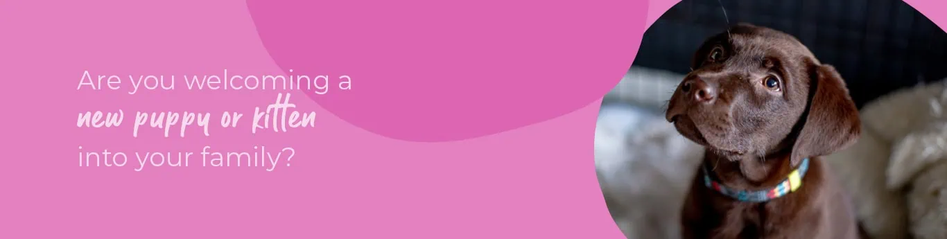 Welcoming your new puppy or kitten