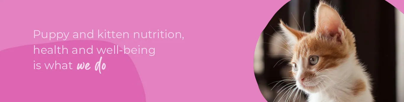 Welcoming your new puppy or kitten