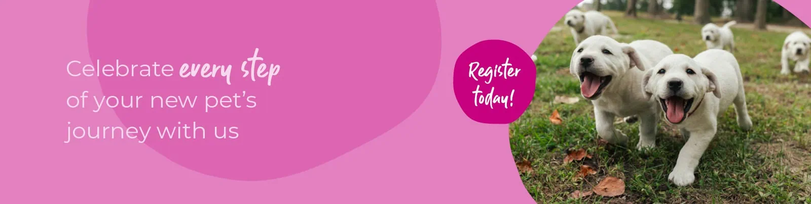 Welcoming your new puppy or kitten