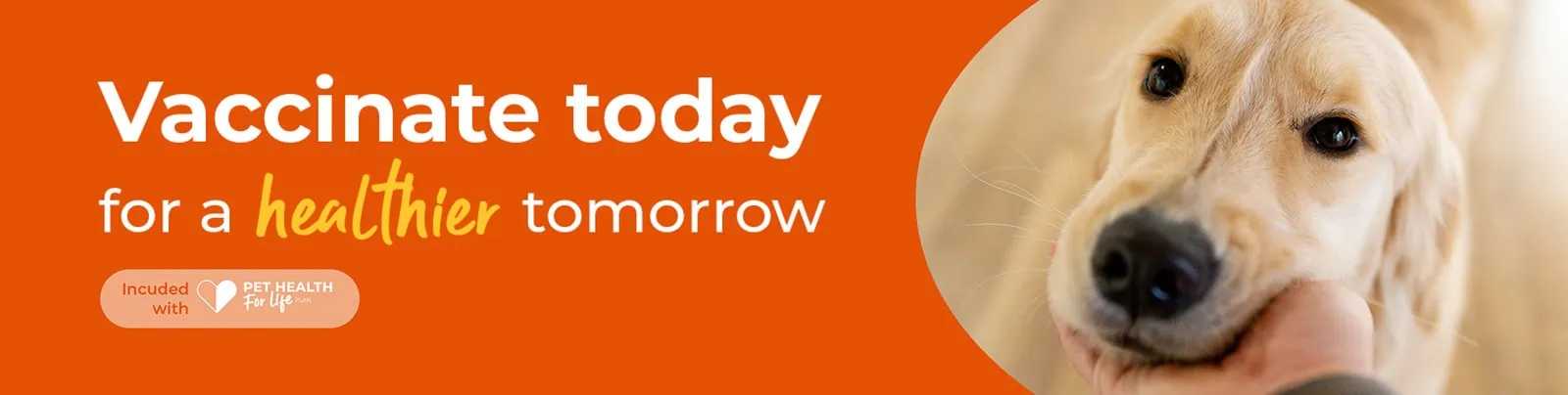 Pet Vaccinations | Primrose Hill Veterinary Hospital